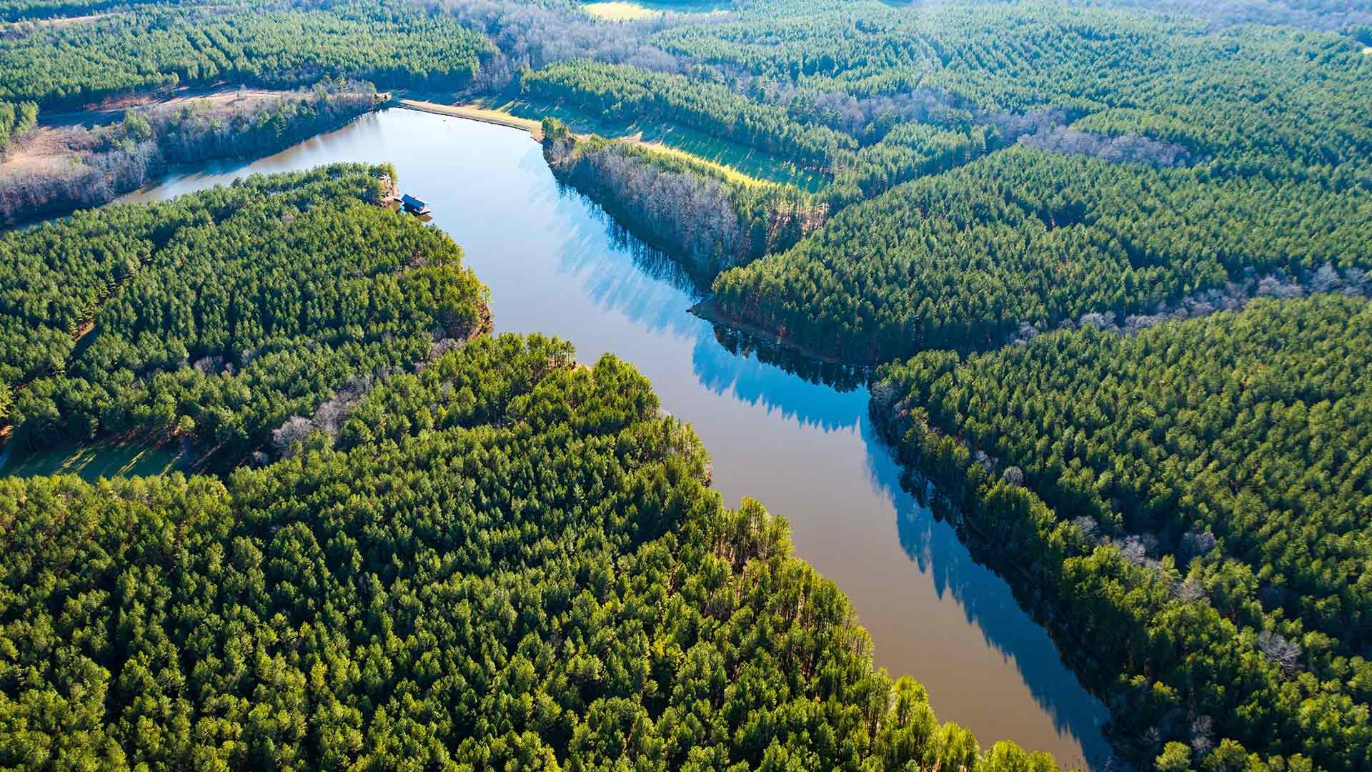 Beautiful Shot of a Lake in the Mountains of South Carolina