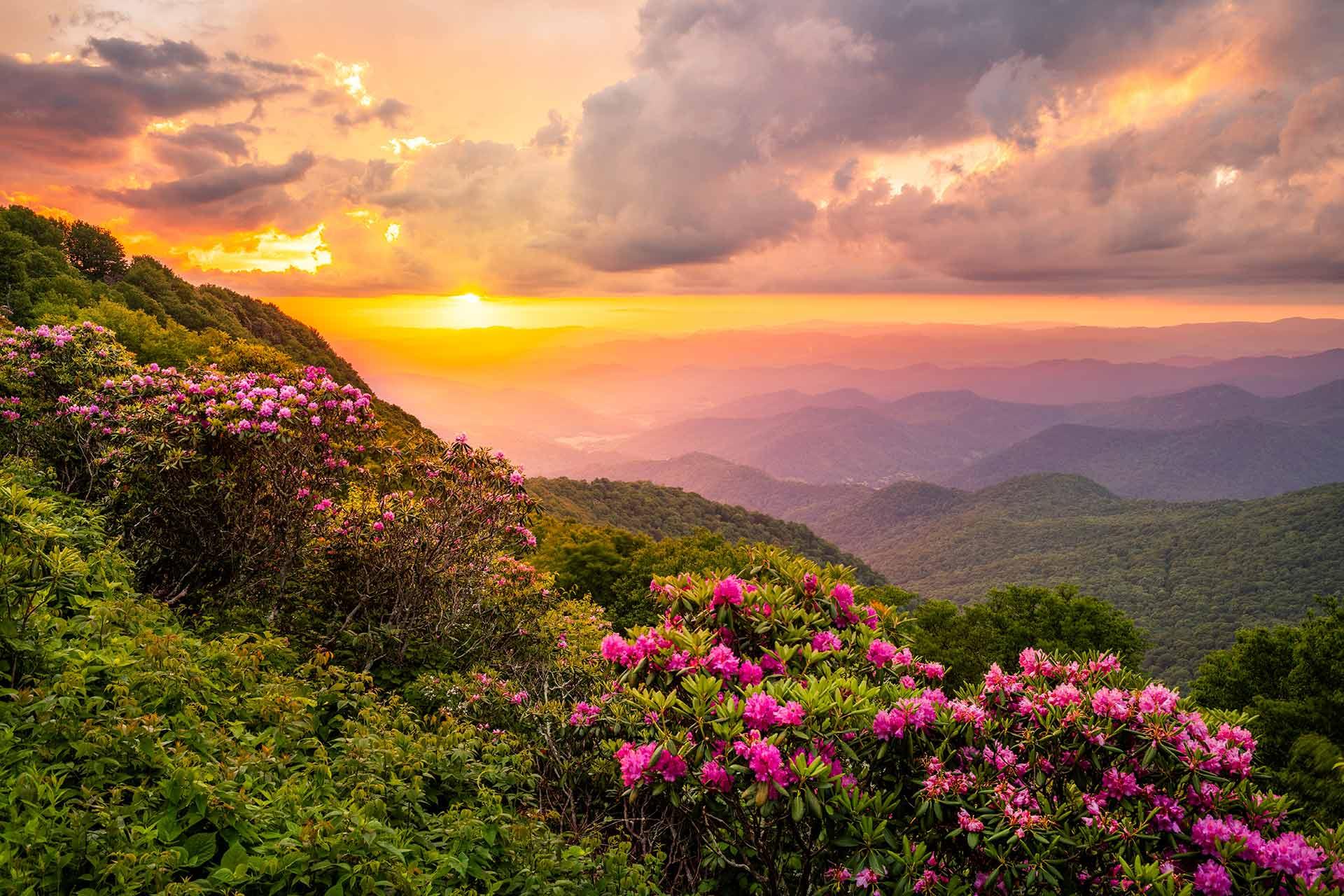 The Craggies in the Blue Ridge Mountains, South Carolina